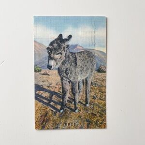 Postcard - I Want My Mama - Baby Burro - Mailed For Free From The US Army 1943